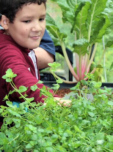 home page rotation aquaponics