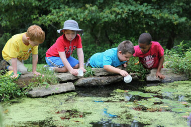 camp19 boysatpond