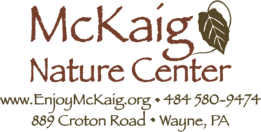 mckaig logo