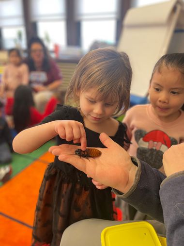 girl cockroach